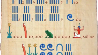 matematik nasıl ortaya çıktı