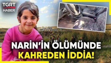 narin olayı nasıl ortaya çıktı