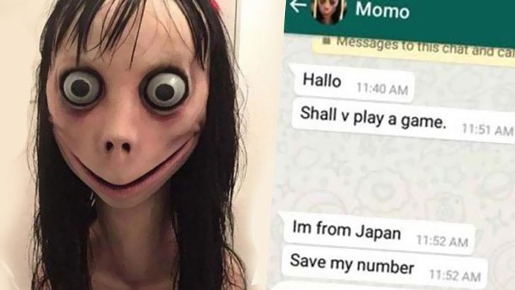 momo nasıl ortaya çıktı