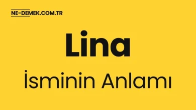 lina isminin anlami