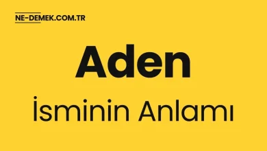 aden isminin anlami