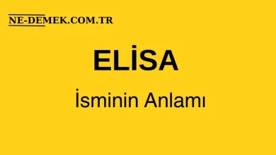 elisa isminin anlami