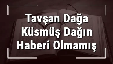 tavsan daga küsmüs dagin haberi olmamis anlami
