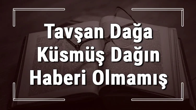 tavsan daga küsmüs dagin haberi olmamis anlami