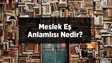 meslek es anlami