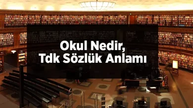 okul sozlukteki anlami