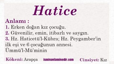 hatice isminin anlami