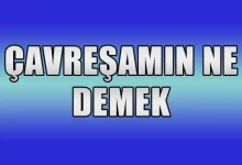 çavreşê lê sözleri türkçe anlami