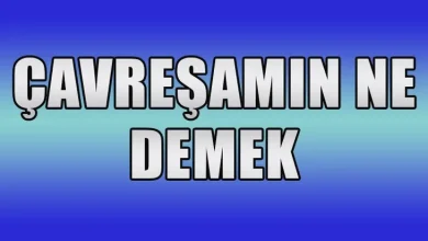 çavreşê lê sözleri türkçe anlami