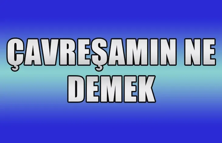 çavreşê lê sözleri türkçe anlami