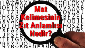 mat zit anlami