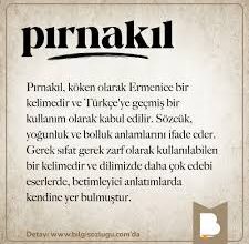 pic kelime anlami nedir