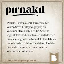 pic kelime anlami nedir