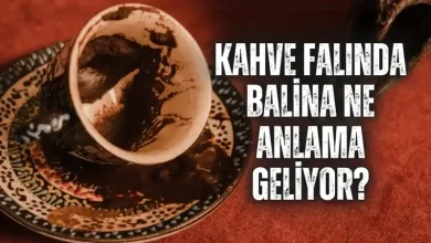 kahve falinda balina gormek anlami