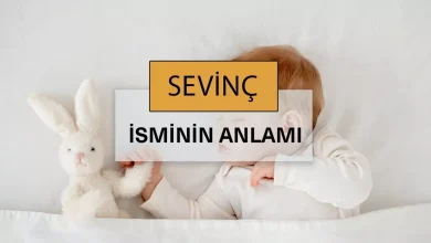 sevinc sozluk anlami