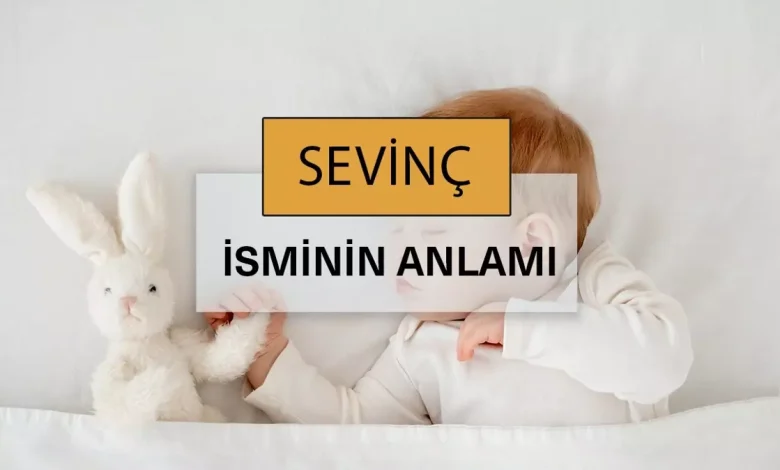 sevinc sozluk anlami