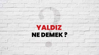 yaldız sozluk anlami nedir
