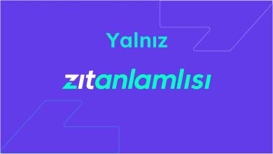 yalniz zit anlami