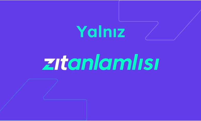 yalniz zit anlami