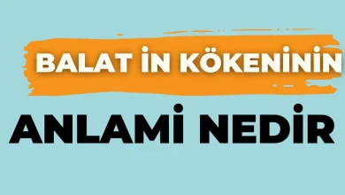 balat kokeninin anlami