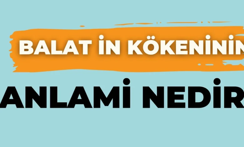 balat kokeninin anlami
