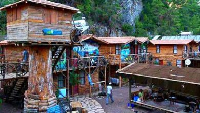 olimpos ağaç evler fiyatları