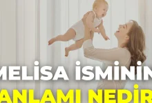 melisa isminin anlami