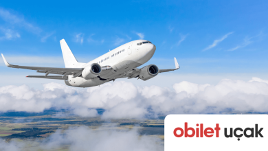 elazığ - izmir uçak bileti fiyatları